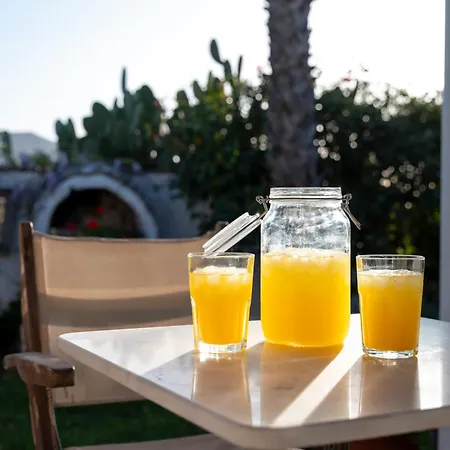 Paradiso Vintage Villa: Traditional 1944 Gem Amaniou